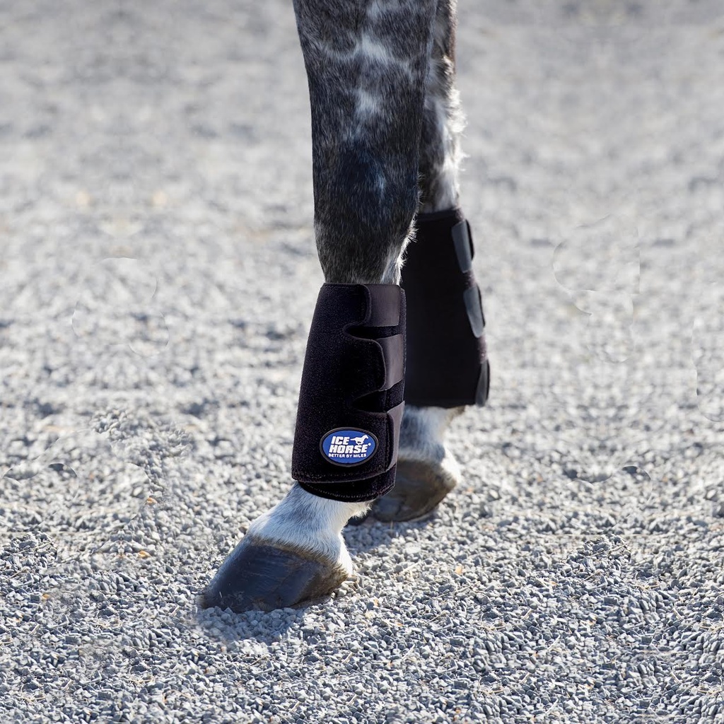 Tendon Leg Wrap Par Con 4 lnserts Frios 