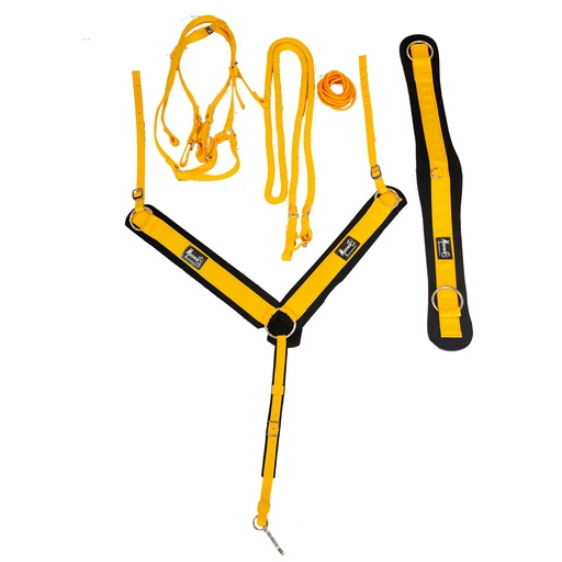 [630435050000] Juego de Bridas Mesacé (Cabezada, Riendas, Pechera, Cincha) de Nailón (Amarillo)