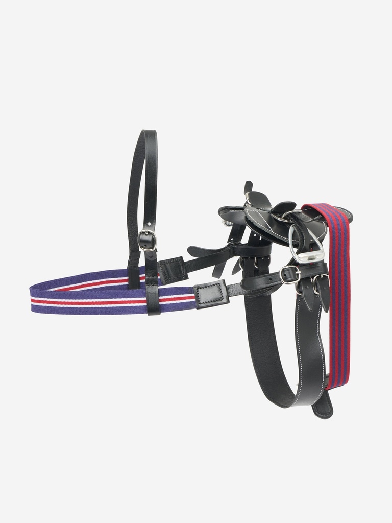 Set de Montura y Pechera Para Caballo de Peluche LeMieux