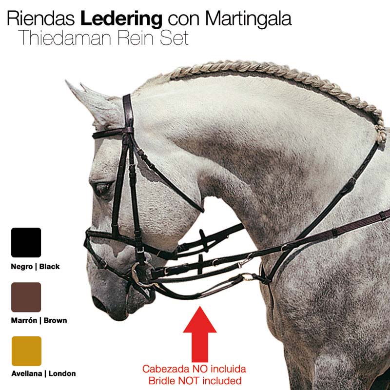 Riendas Ledering Con Martingala Talla Full