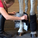 Tendon Leg Wrap