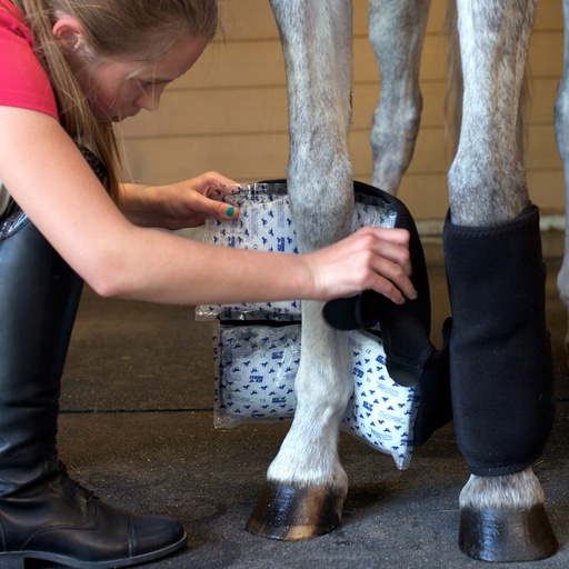 Tendon Leg Wrap Par Con 4 lnserts Frios 