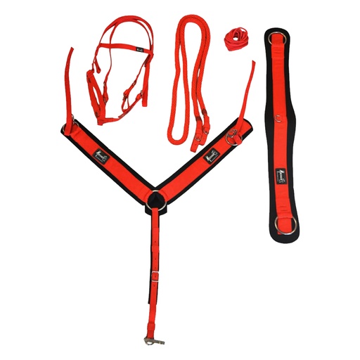 Juego de Bridas Mesacé (Cabezada, Riendas, Pechera, Cincha) de Nailón