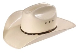 Sombrero Justin 20X Black Hills Marfil Ala de 4&quot;