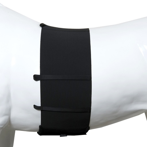 [E10901B001175] Banda Elástica Para Proteger Costados Del Caballo Talla 175 cm