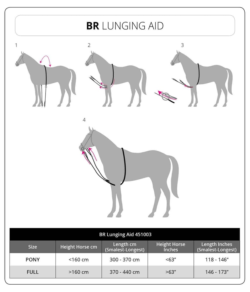BR Lunging Aid