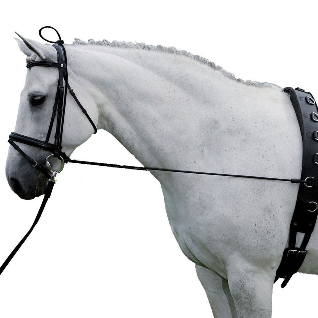 Elástico Para Estirar El Cuello del Caballo Color Negro