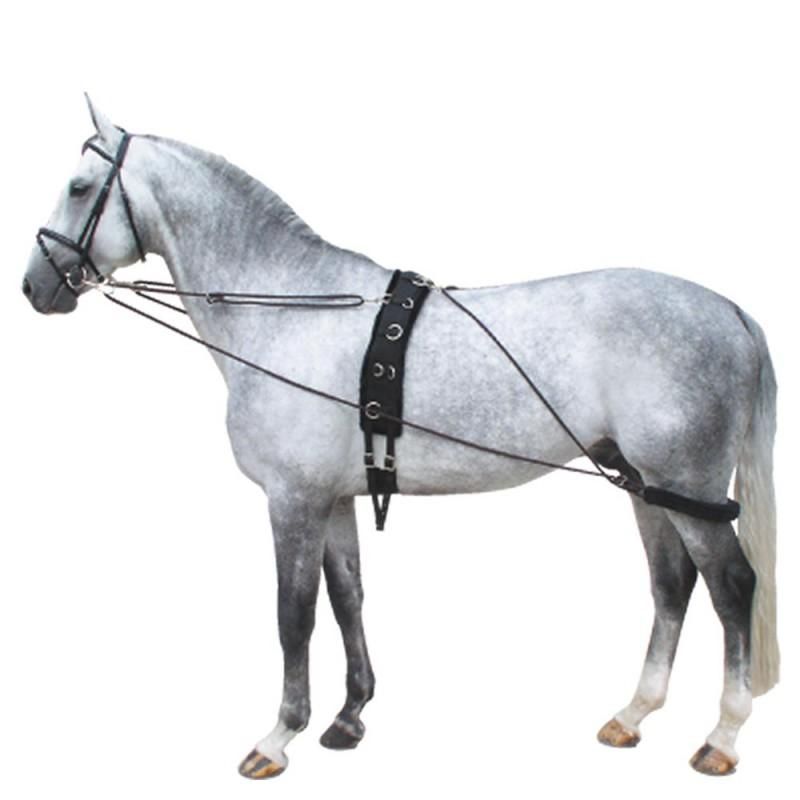 Sistema de Entrenamiento Pessoa Color Negro