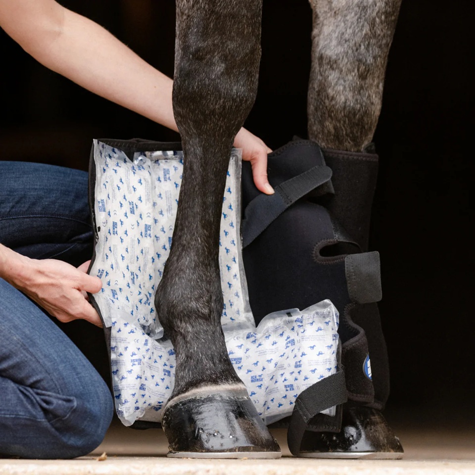 Full Tendon/Suspensory Wrap (Par) Con 8 Insertos Fríos Boxed