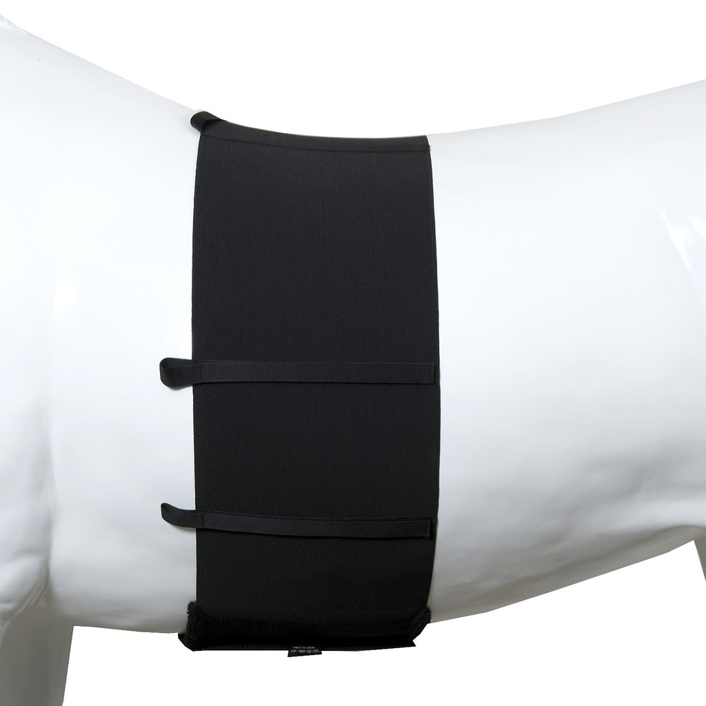 Banda Elástica Para Proteger Costados Del Caballo Talla 175 cm
