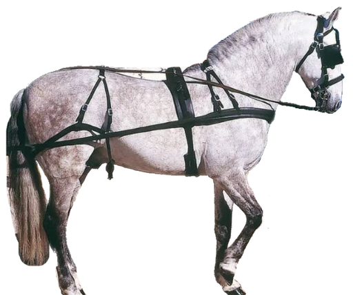 [21036250101] Enganche Pechera Pvc/Nylon Sencillo Talla Cob