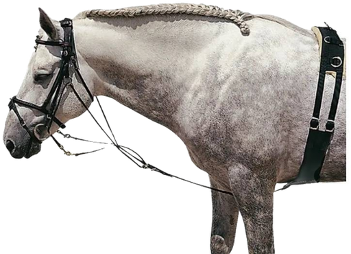 Gogue Cuero Castecus Marrón