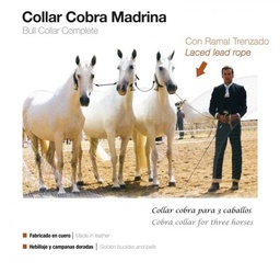 [21025110009] Collar Cobra Madrina Con Ramal Trenzado
