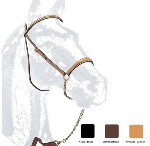 Cabezada de Presentación Con Cadena Talla Full Color Negro