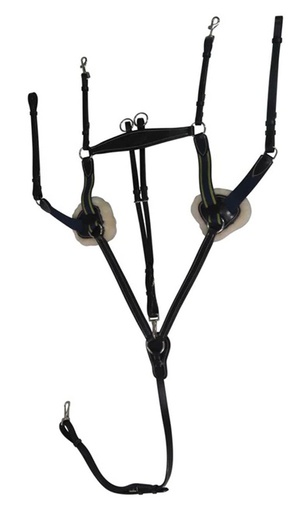 [5098-04H] Pechera Henri de Rivel de 5 Puntos Con Martingala Color Negro Talla Horse