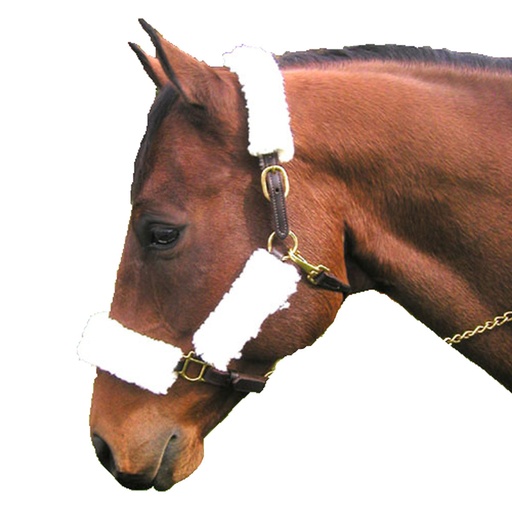 Protector Tubular Para Gamarrón. Set de 4 Piezas